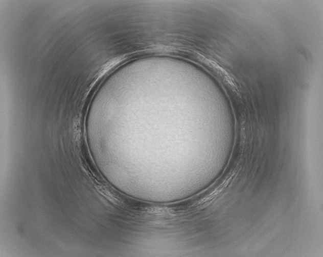 X0000115791170200912041506