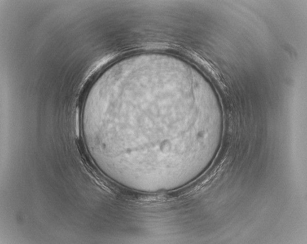 X0000115791171200912041506