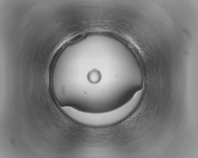 X0000115791173200912041506