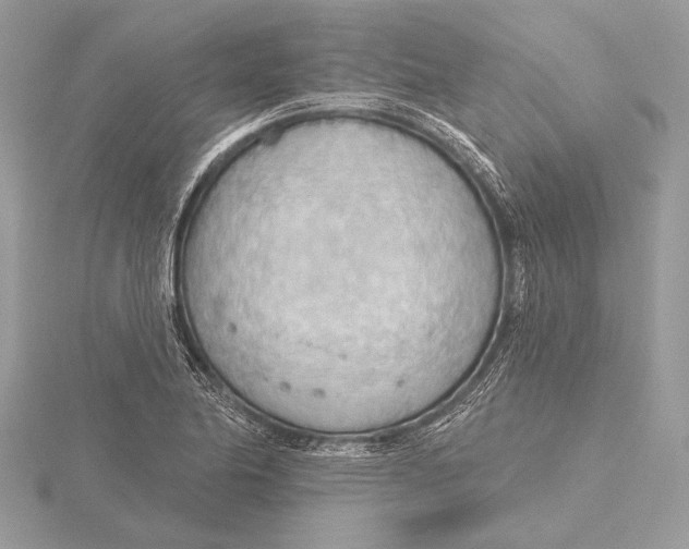 X0000115791174200912041506