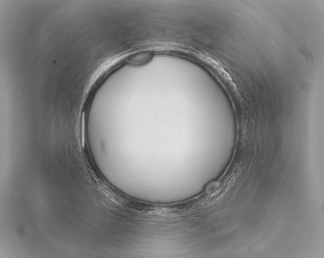 X0000115791175200912041506