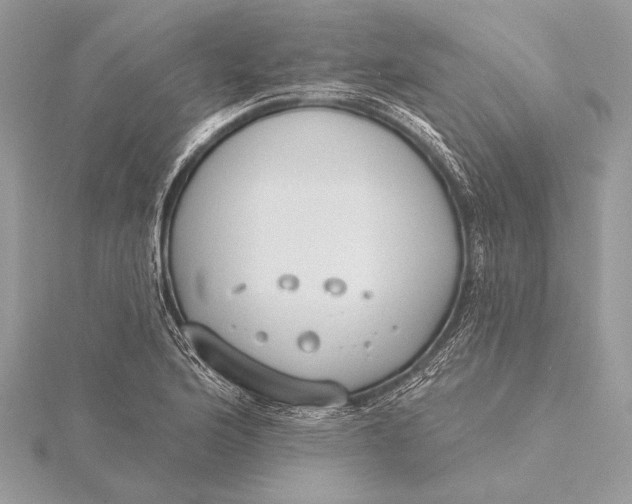 X0000115791176200912041506