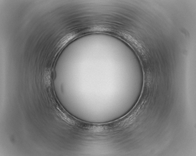 X0000115791177200912041506