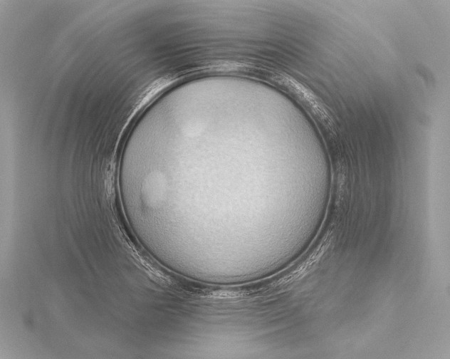 X0000115791178200912041506