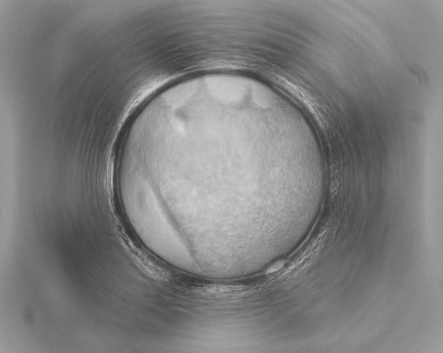 X0000115791179200912041506