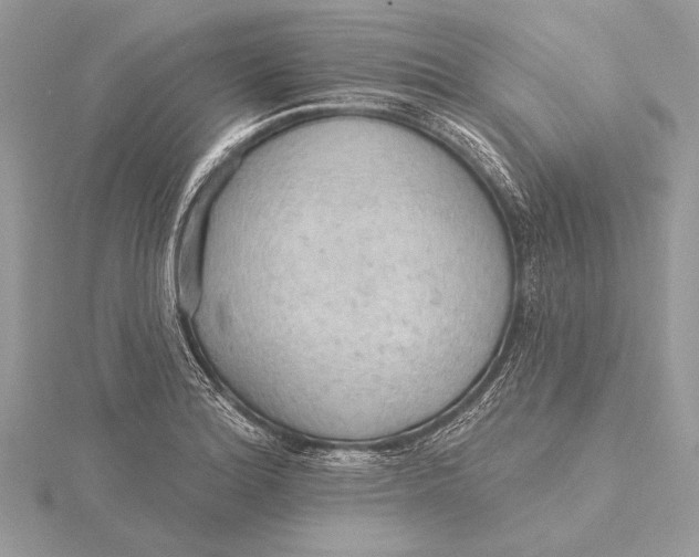 X0000115791180200912041506