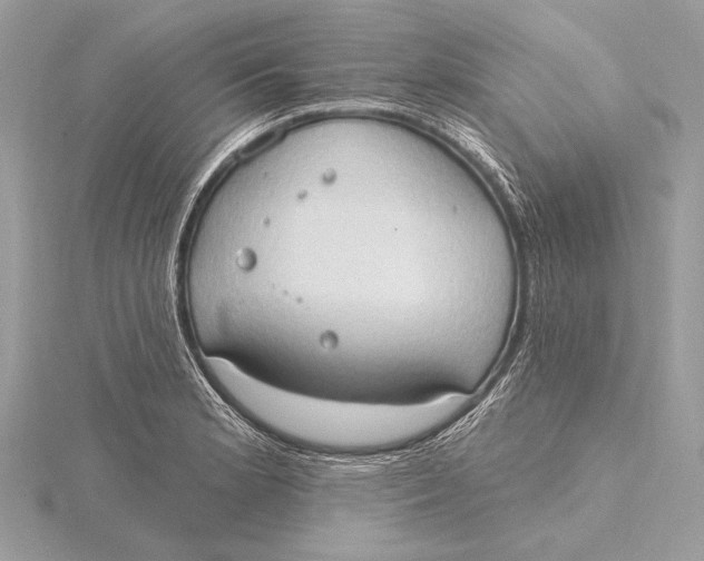 X0000115791181200912041506