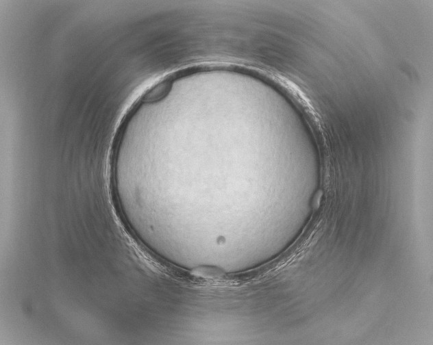 X0000115791183200912041506