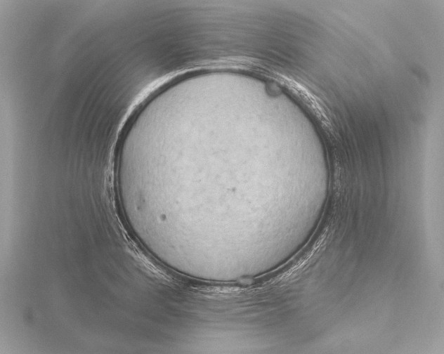 X0000115791184200912041506