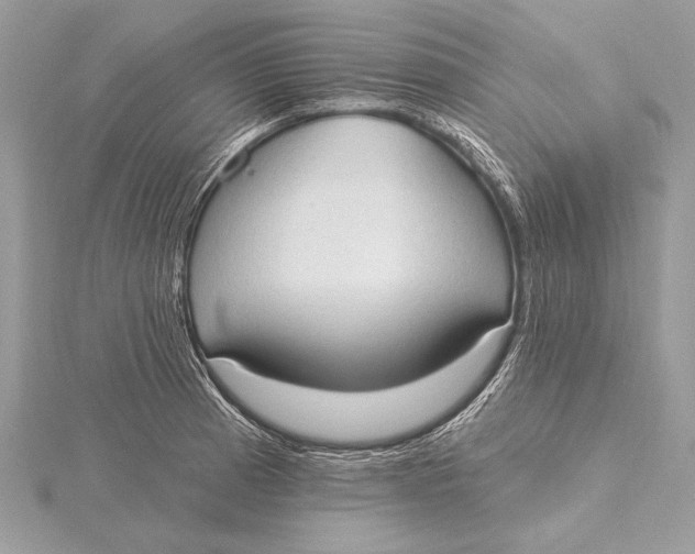 X0000115791185200912041506