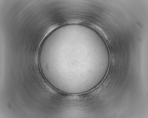 X0000115791186200912041506