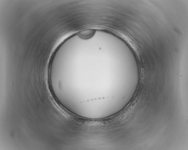 X0000115791187200912041506