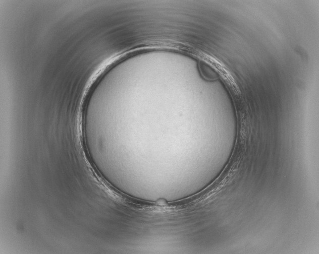 X0000115791188200912041506