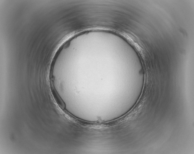 X0000115791189200912041506