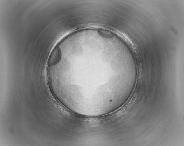 X0000115791190200912041506