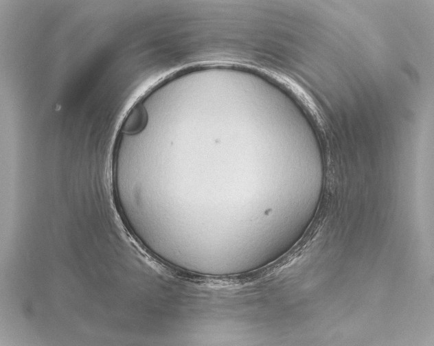 X0000115791191200912041506