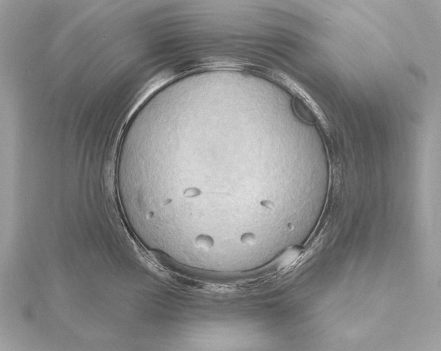 X0000115791194200912041506