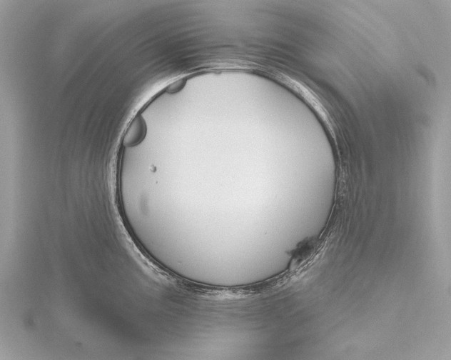 X0000115791195200912041506