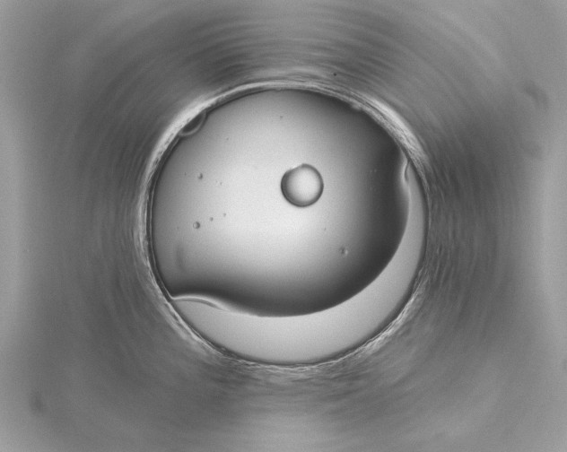 X0000115791196200912041506