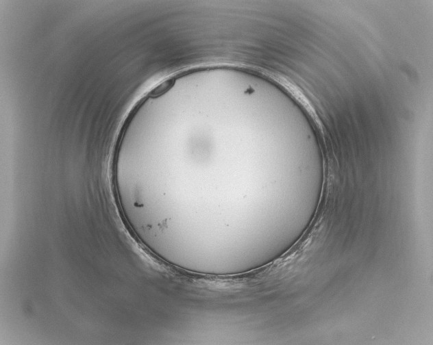 X0000115791197200912041506