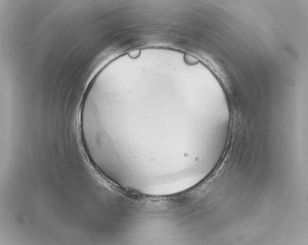 X0000115791198200912041506