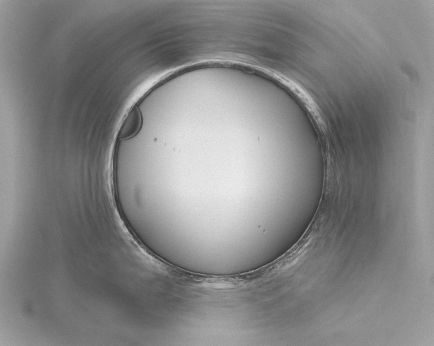 X0000115791199200912041506