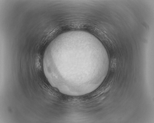 X0000115791202200912041505