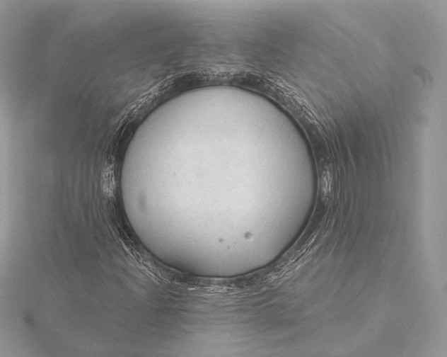 X0000115791204200912041505