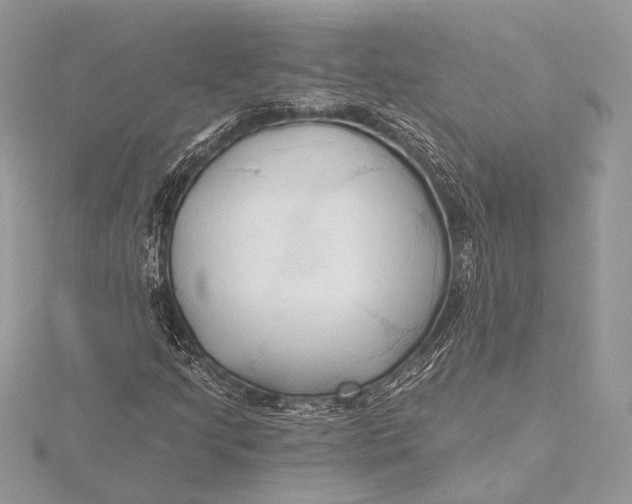 X0000115791205200912041505