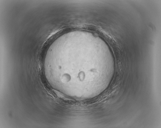 X0000115791206200912041505