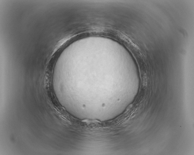 X0000115791208200912041505