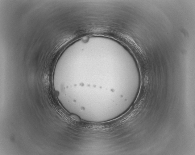 X0000115791209200912041505