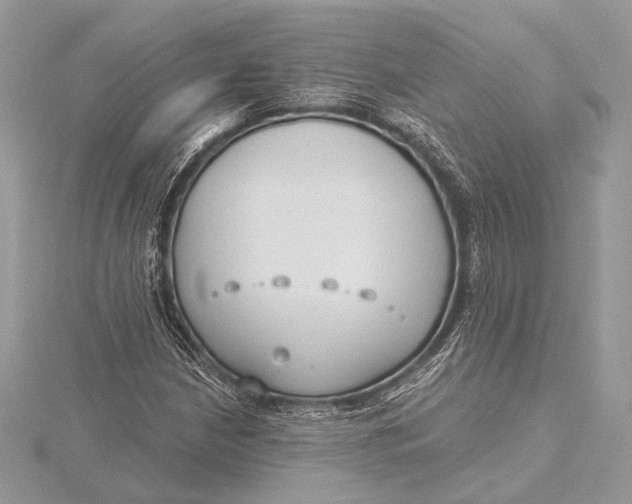 X0000115791210200912041505