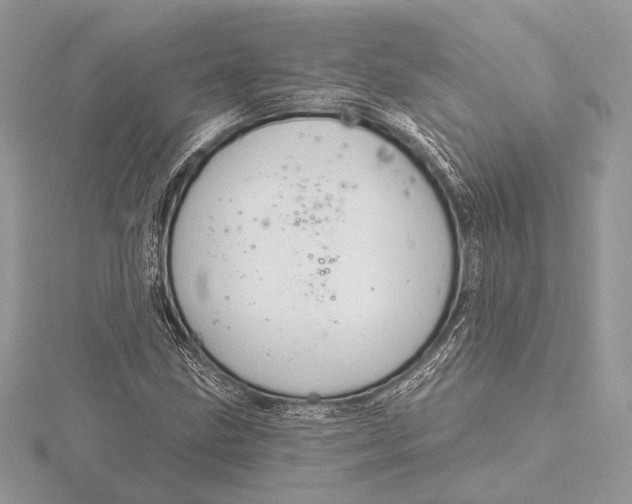 X0000115791211200912041505