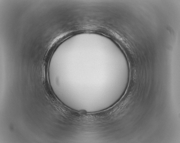 X0000115791214200912041505