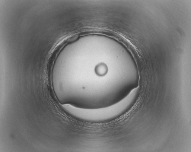 X0000115791215200912041505