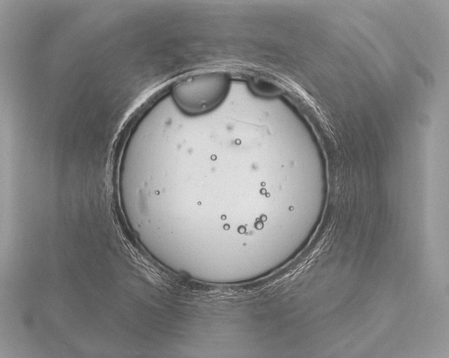 X0000115791216200912041505