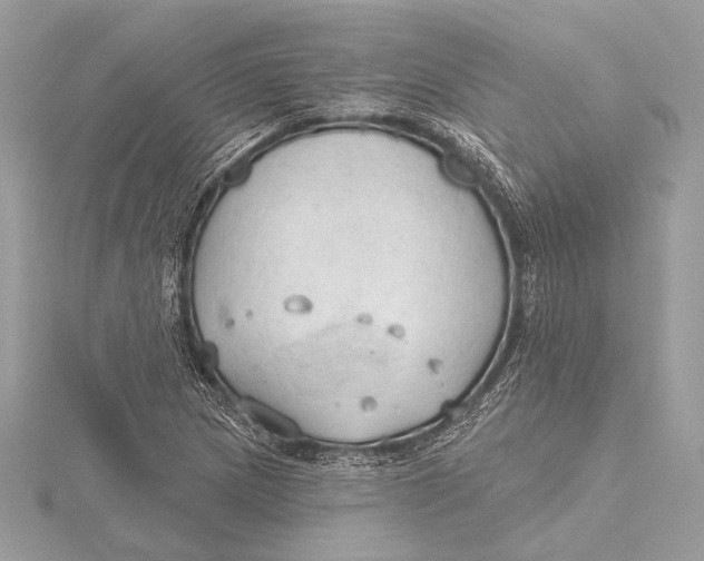 X0000115791217200912041505