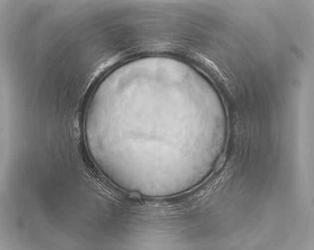 X0000115791218200912041505