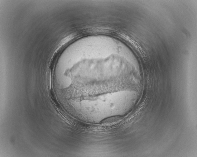 X0000115791219200912041505