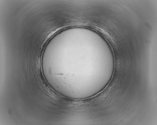 X0000115791220200912041505