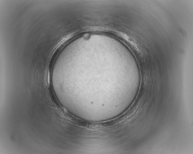 X0000115791221200912041505