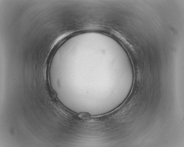 X0000115791222200912041505