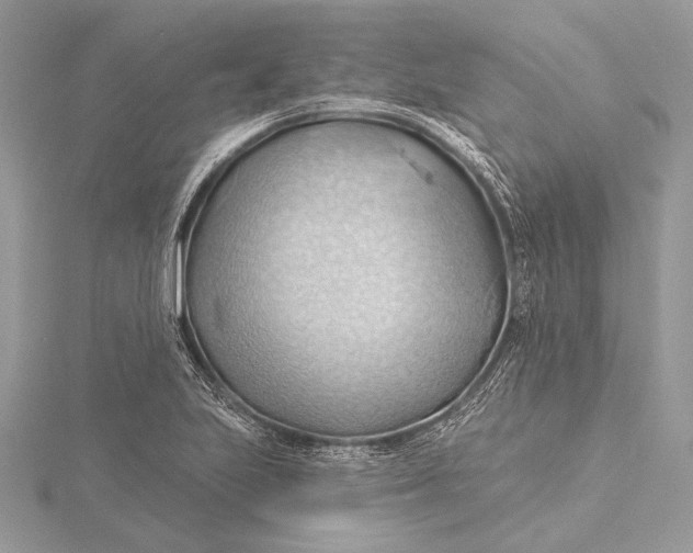 X0000115791223200912041505