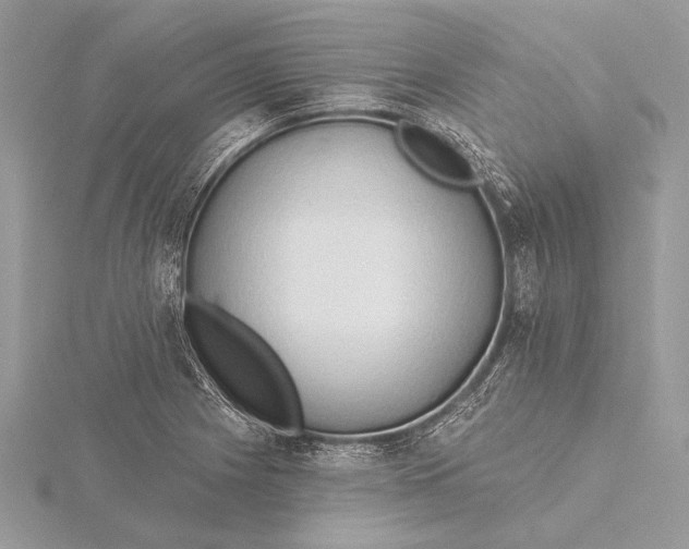 X0000115791225200912041506