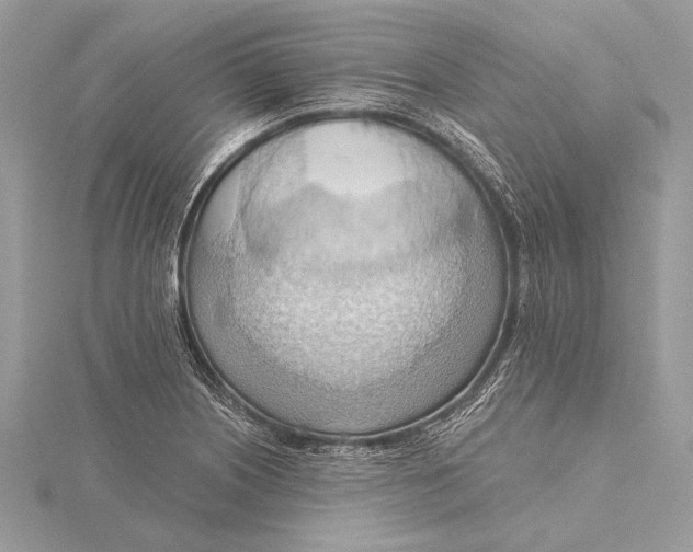 X0000115791226200912041506