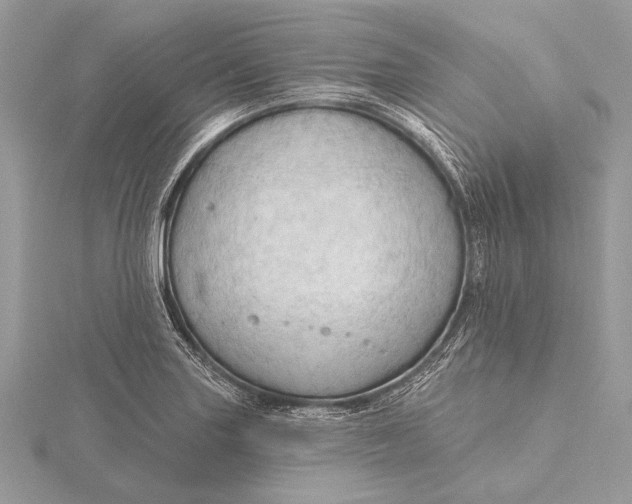 X0000115791227200912041506