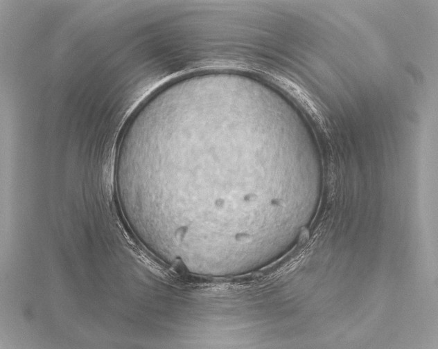 X0000115791228200912041506