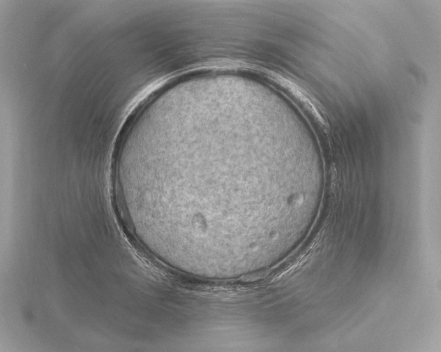 X0000115791229200912041506