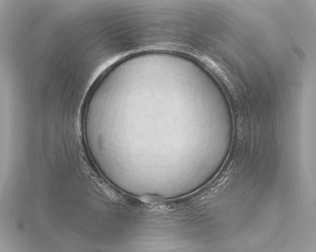 X0000115791230200912041506